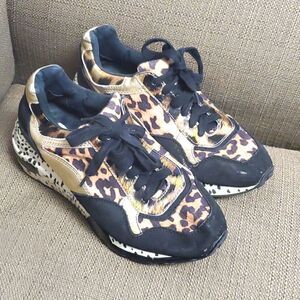 ‎STEVE MADDEN Leopard Animal Cliff Sneakers - Size 6 1/2